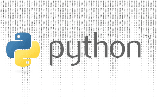 Learners attending Python full-stack development workshop