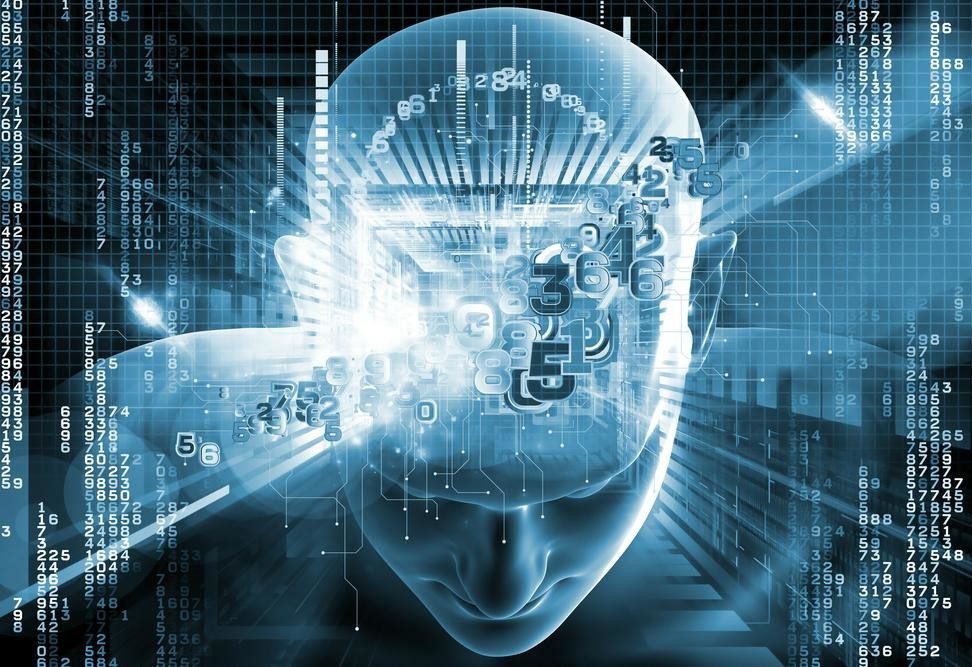 Data Science students building machine learning models