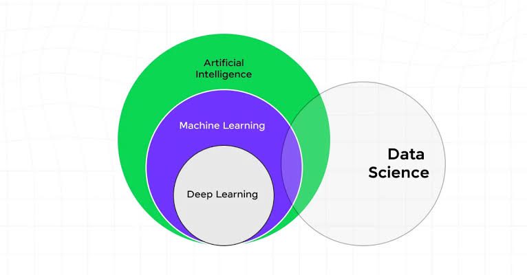 AI and Data Science: What Is the Connection?