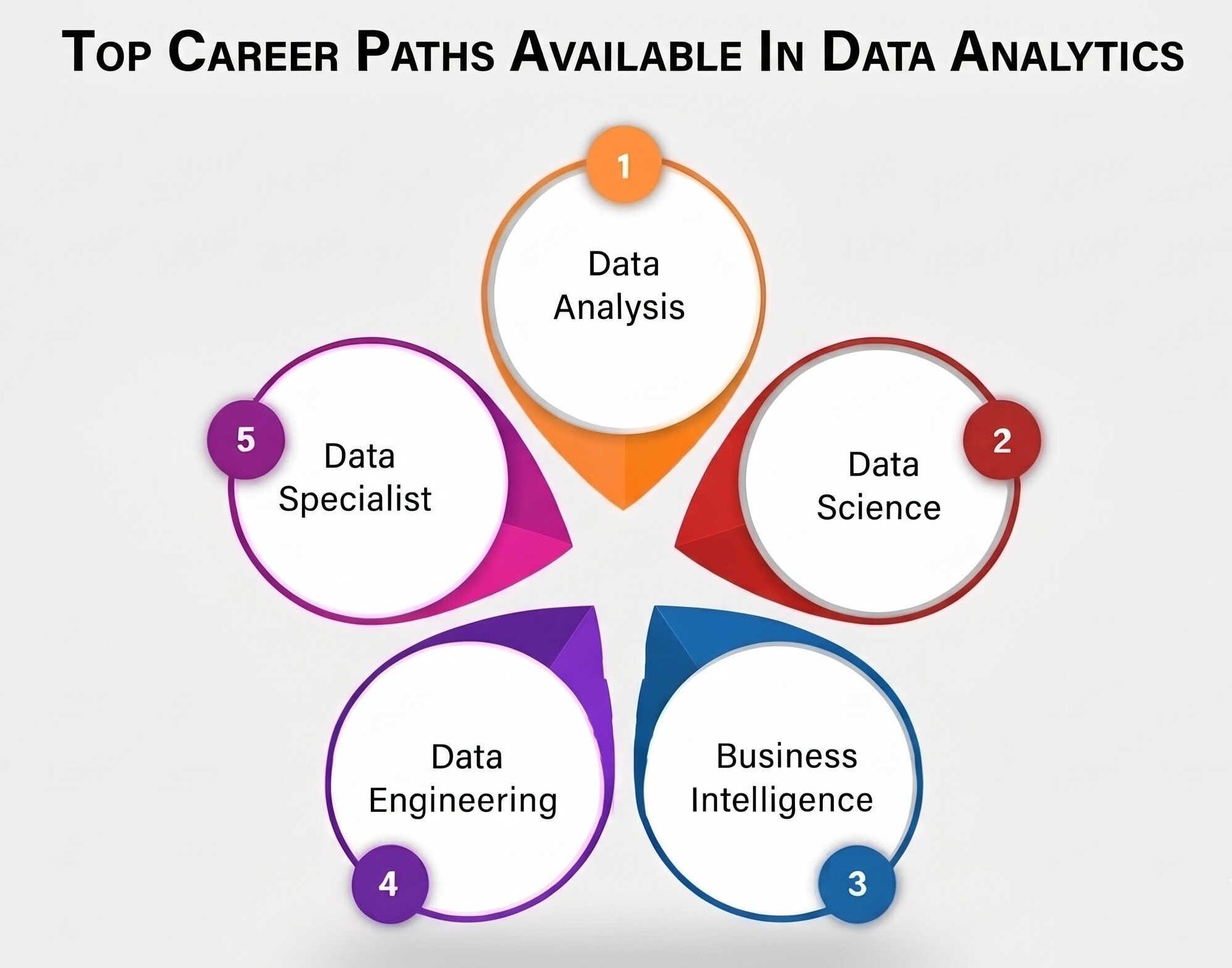 Career Path in Data science